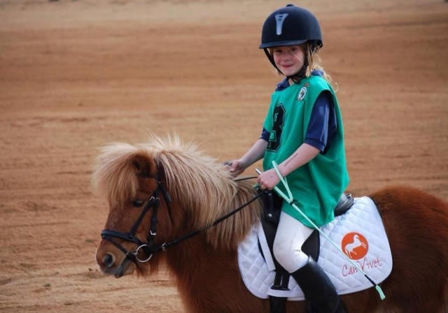  I più piccoli imparano a conoscere i pony 